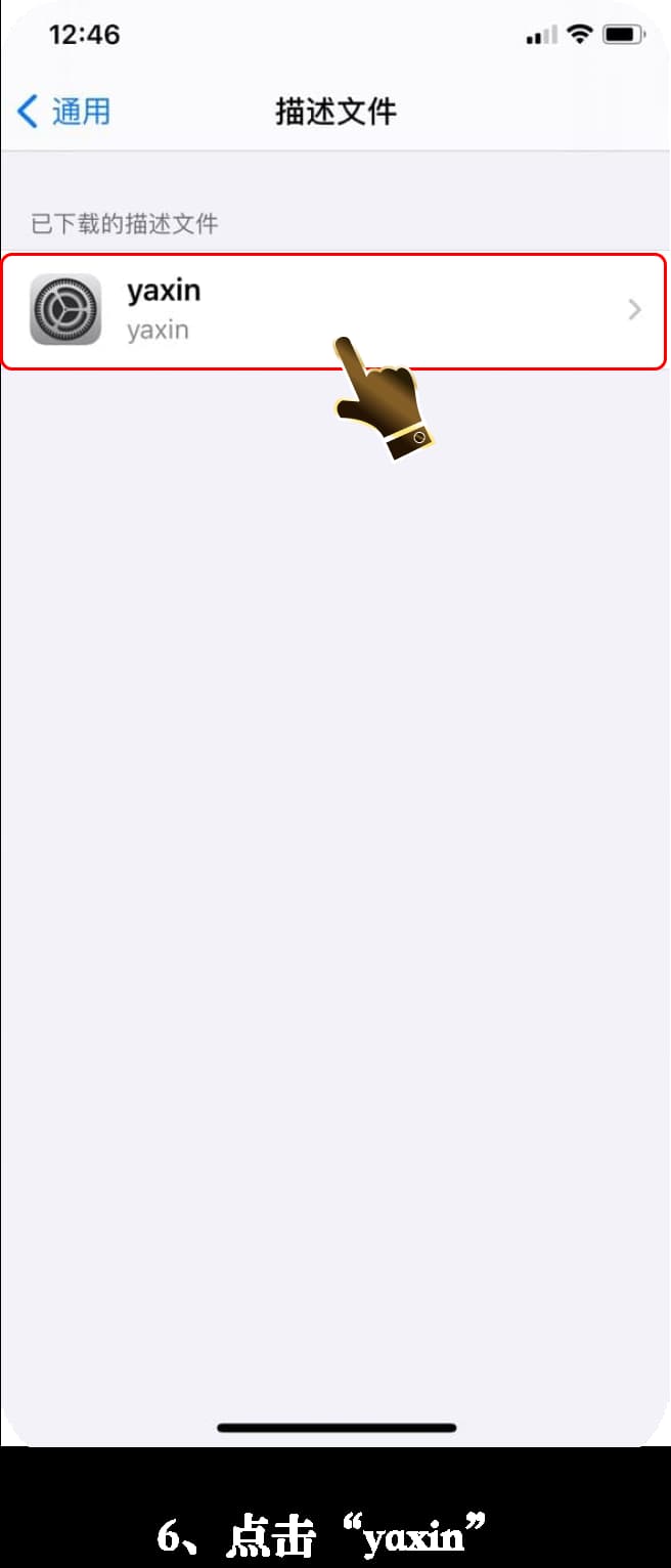 iOS平台TestFlight受信任沙盒验证与战术终端安装指南6